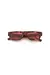 Gafas SG Carey - comprar online