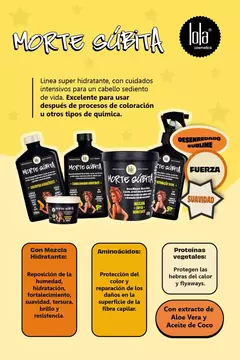 Shampoo Sólido Hidratante Morte Súbita x100 gr Lola - comprar online