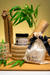 Vela Bamboo Reach 140g - comprar online