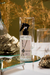 Home Spray Alecrim Lily 240ml