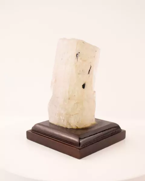 Pedra Kunzita Bruta Coleção na Base de Madeira Marrom 190 gramas