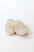 Drusa Cristal de Quartzo Bruto 330 gramas aprox. na internet