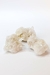 Drusa Cristal de Quartzo Bruto 201 a 255 gramas aprox. - BORTOLUZZI - SHOP DOS CRISTAIS