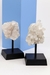 Drusa Cristal na Base de Madeira Preta 275 a 370 gramas - comprar online