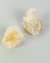 Pedra Citrino bruto 20 a 30 gramas aprox. - comprar online