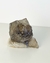 Pedra Quartzo Fumê Jacaré 409 gramas aprox. - comprar online