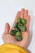 Pedra Jade Verde Rolado 12 A 14 gramas na internet