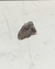 Pedra Cacoxenita bruta 16 a 20 gramas - comprar online