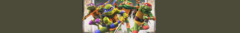 Banner da categoria Tartarugas Ninjas