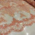 Renda de Tule Bordado - Moldura Floral