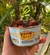 Bananada Cremosa da Zélia DIET 400g - comprar online