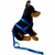 Coleira Peitoral Americano Nylon N8 + Guia Grande Porte - comprar online