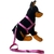 Coleira Peitoral Americano Nylon N8 + Guia Grande Porte - comprar online
