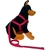 Coleira Peitoral Americano Nylon N6 + Guia Grande Porte - Wave Dog Fábrica & Distribuidora