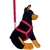 Coleira Peitoral Americano Nylon N4 + Guia Porte Grande - Wave Dog Fábrica & Distribuidora