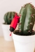 Vibrador Pocket Devol by Adrienlastic - Savage Boutique