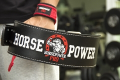 HORSEPOWER BELT - Horsepower Pro