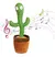 Cactus Bailarín Premium® - tienda online