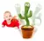 Cactus Bailarín Premium® - comprar online
