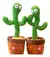 Cactus Bailarín Premium® en internet