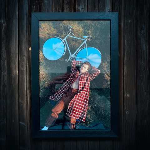 Cuadro 20x30 Harry Styles