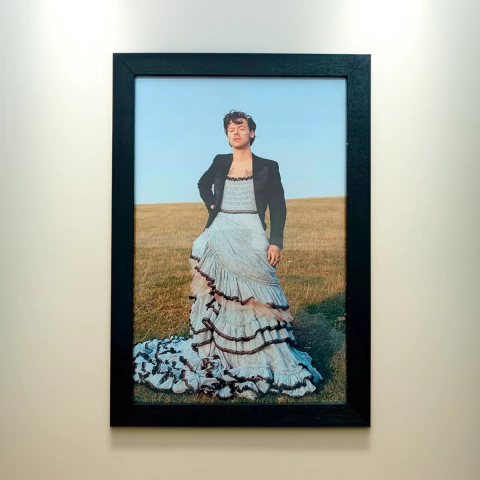 Cuadro 20x30 Harry Styles