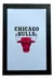 Cuadro 20x30 Chicago Bulls en internet