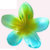 Presilha Flor Pinterest - (COR 5) Azul com Verde