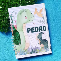 Imagem do Caderneta de Vacinação (Vários Temas)