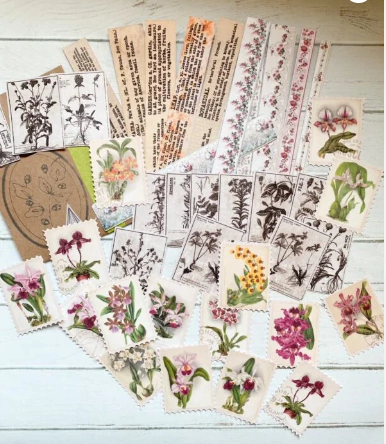 Set de stickers Botanico (D001)