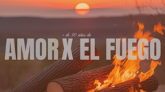Banner de la categoría Fogones y Asadores