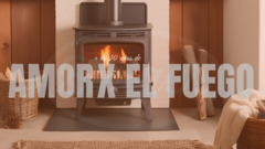 Banner de la categoría Calefacción a Leña