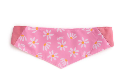 Bandana Margaritas - comprar online