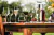 COPA VINO TINTO VINEA 450ML en internet
