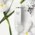 WHITE TEA ELIZABETH ARDEN EDT X 100 ML en internet