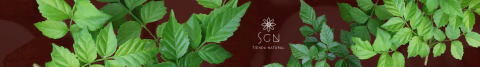 Banner de la categoría PRODUCTOS DE ORIGEN VEGETAL ACEITES