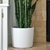 Maceta Ceramica N14 - Zotami Plantas