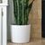 Maceta Ceramica N18 en internet