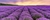 Imagen de Lavanda en 3 litros