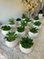 Imagen de Maceta Ceramica N8