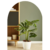 Monstera en 3 litros + Maceta Premium N27 - comprar online