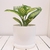 Plato Premium N16 - Zotami Plantas