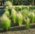 Stipa en 3 litros en internet