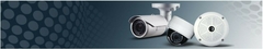 Banner de la categoría Seguridad 