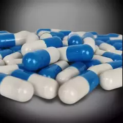 CÁPSULAS DE ZEDOÁRIA - Lua Crescente Ervas Medicinais