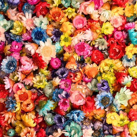 Minis flores secas x10 gr