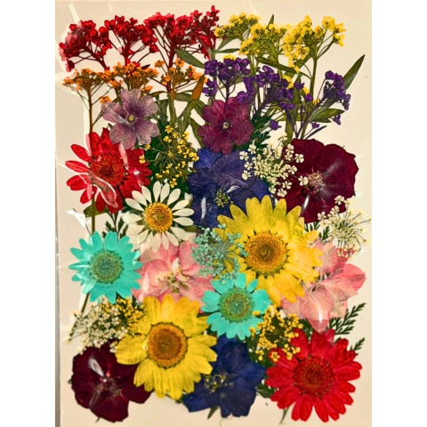 Plancha de Flores secas x1 unidad