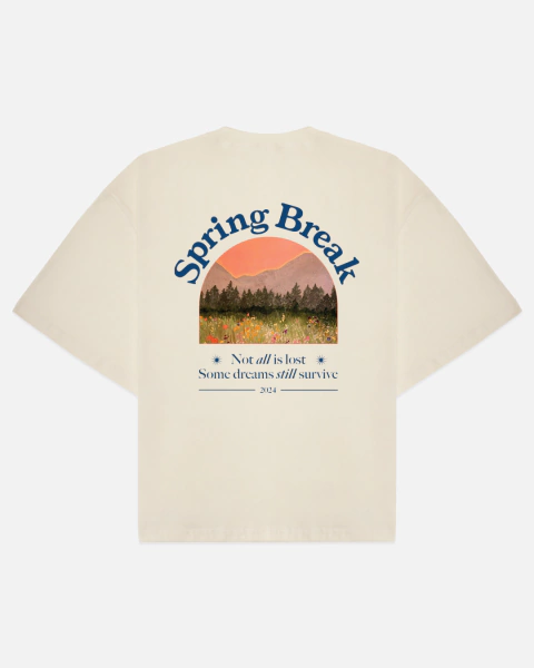 Spring Break Boxy Tee - comprar online