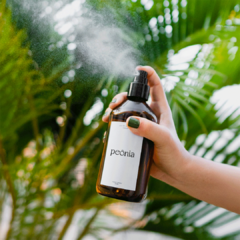 Home Spray Peônia na internet