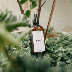 Home Spray Pinus